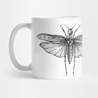 Grasshopper Mug